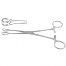 Foerster Sponge Holding Forcep Straight - Smoth Jaw Stainless Steel, 25 cm - 9 3/4"